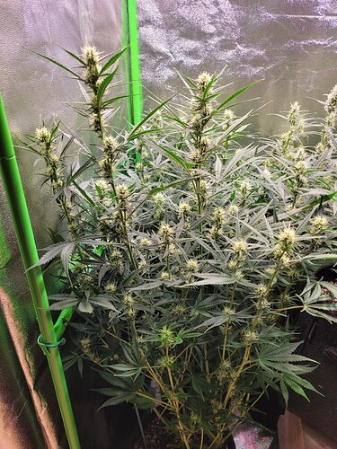 Growreport Bild 14