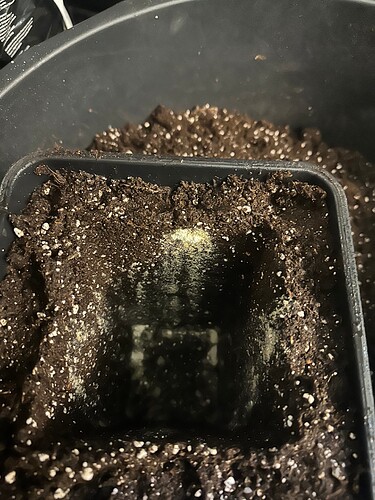 Growreport Bild 12