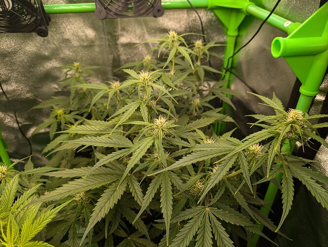 Growreport Bild 23