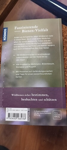 IMG_20250406_182914
