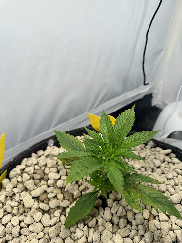 20240424_150024502_iOS