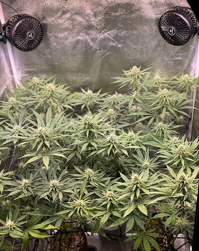 Growreport Bild 18