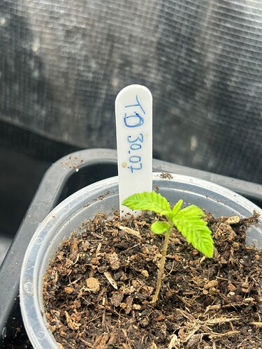 Growreport Bild 21
