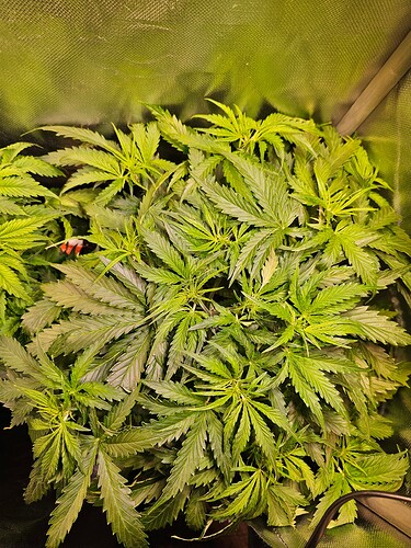 Growreport Bild 11