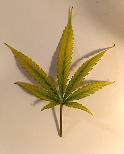 Growreport Bild 31