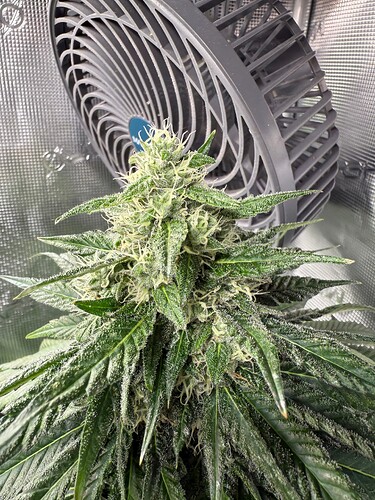 Growreport Bild 15