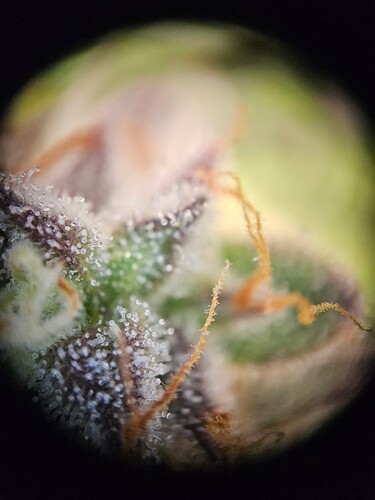 Growreport Bild 14