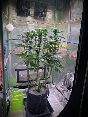 Growreport Bild 9