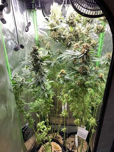 Growreport Bild 18