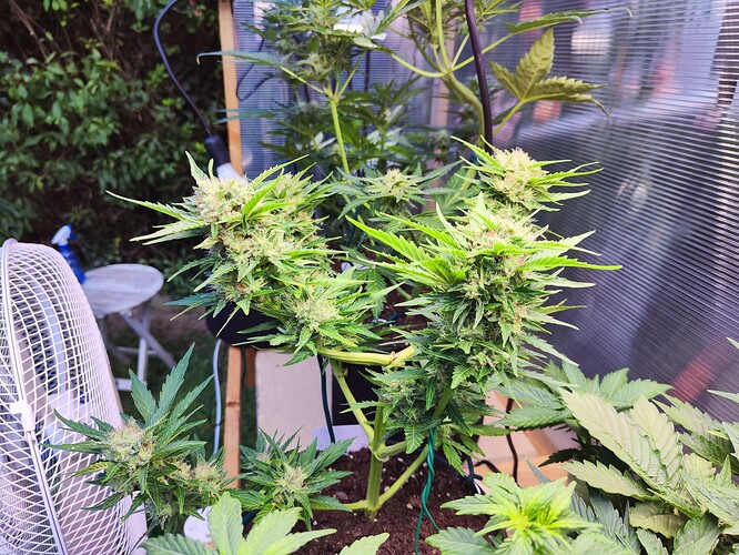 Growreport Bild 15