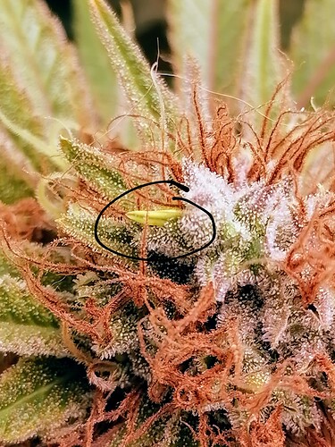 Growreport Bild 7