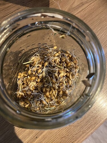 Growreport Bild 1