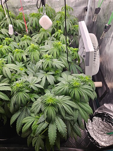 Growreport Bild 8