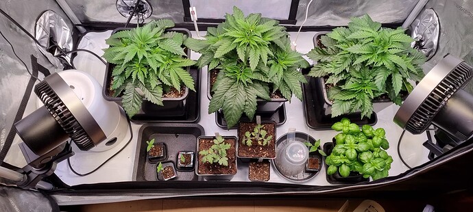Growreport Bild 10