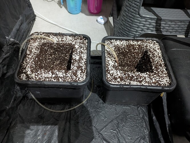 PXL_20250123_153046697