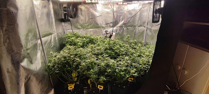 Growreport Bild 12