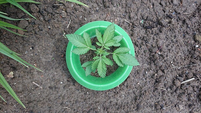 Growreport Bild 17