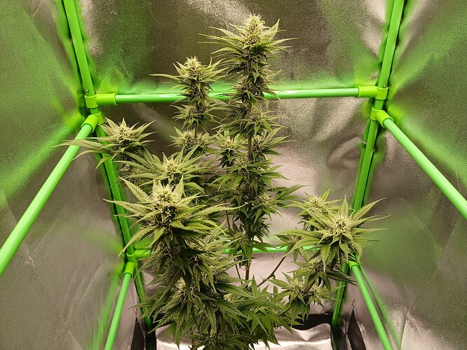 Growreport Bild 10