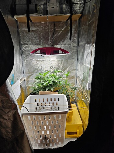 Growreport Bild 26