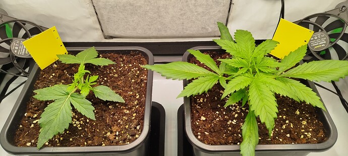 Growreport Bild 10