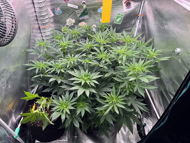 Growreport Bild 10
