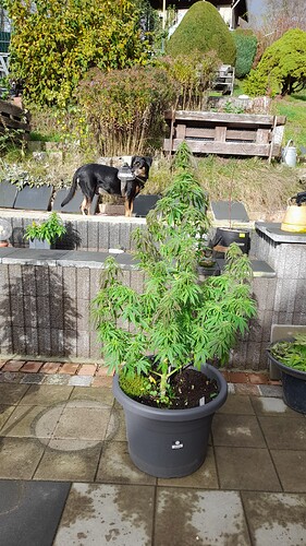 Growreport Bild 11