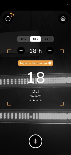 Growreport Bild 11