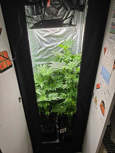 Growreport Bild 1