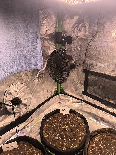 Growreport Bild 41