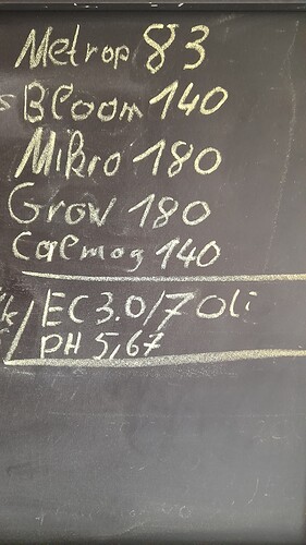 Growreport Bild 13