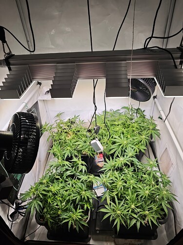 MVIMG_20251020_203836