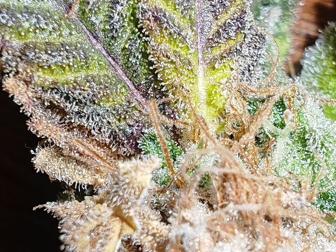 Growreport Bild 22