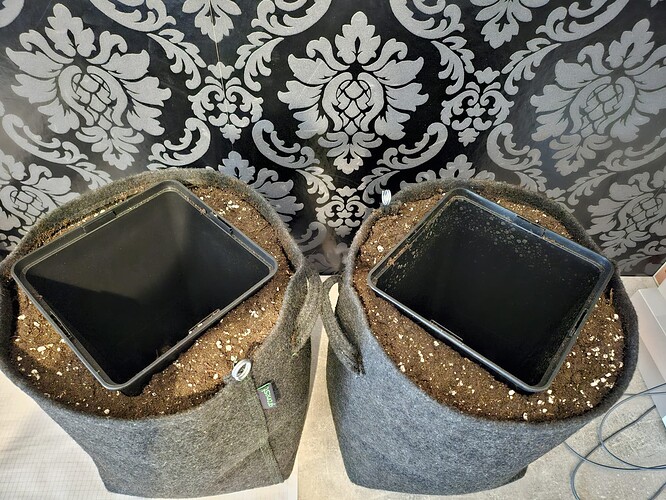 WhatsApp Bild 2024-03-08 um 13.01.43_e968fd85