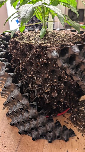 PXL_20250329_080611470.MP