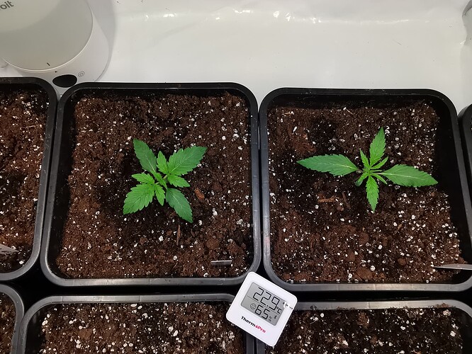 Growreport Bild 14