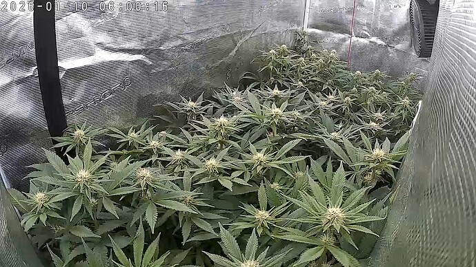 Foto 10.01.26, 06 14 05 (1)