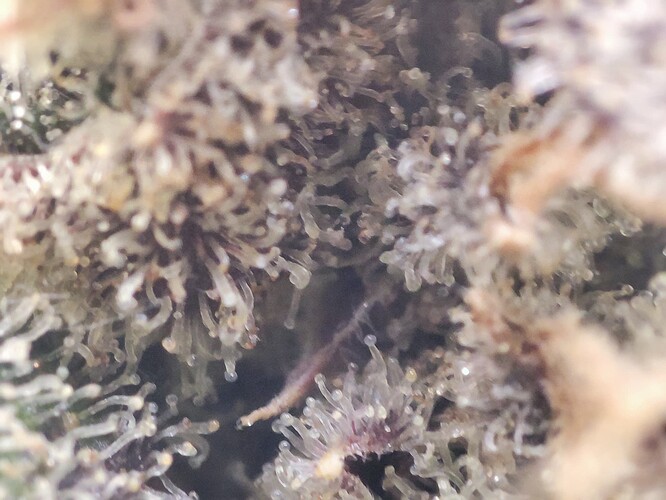 Growreport Bild 12