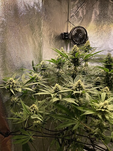 Growreport Bild 13