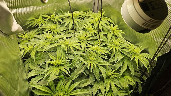 Growreport Bild 23