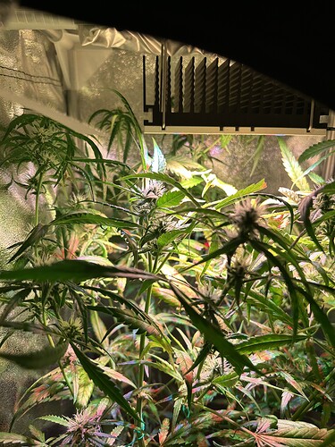 Growreport Bild 6