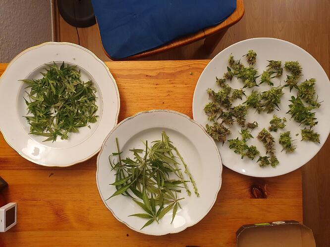 Growreport Bild 3