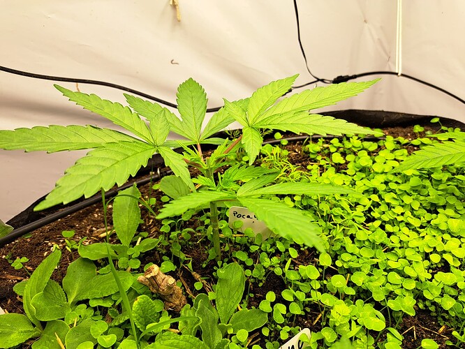 Growreport Bild 18