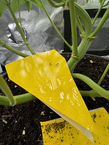 Growreport Bild 9