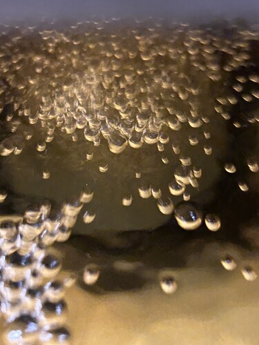 Growreport Bild 57