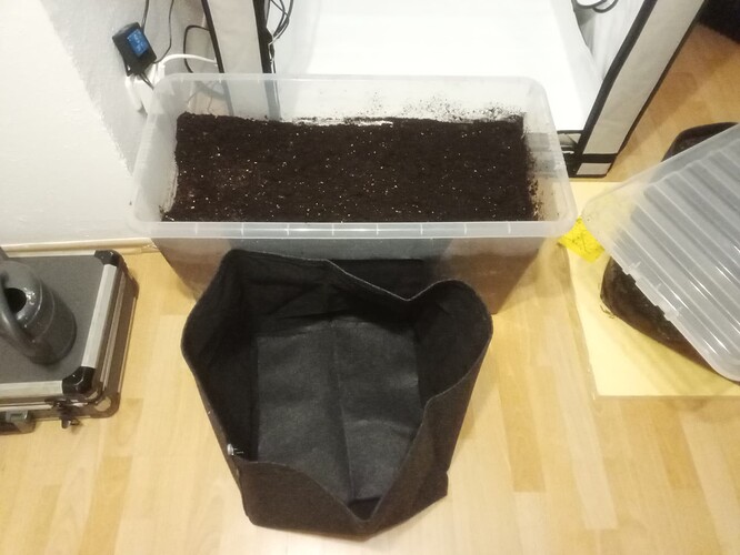 Growreport Bild 39
