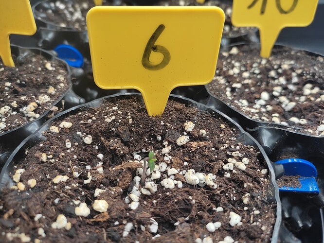 Growreport Bild 8