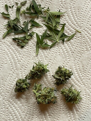 Growreport Bild 23