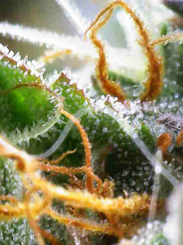 Photo_2026-02-27 15_15_09_110