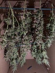 Growreport Bild 13