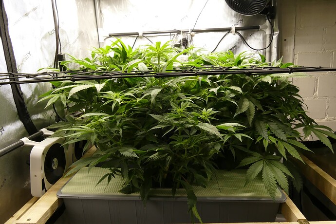 Übersicht_vorne_VT48_BT1